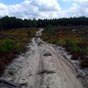 Durant toute la traversée du massif forestier des landes de Gascogne, nous empruntons de longues pistes de sable. 